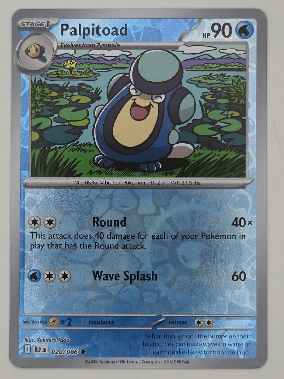 Palpitoad 020/086 Reverse Holo Common Black Bolt Pokemon TCG NM