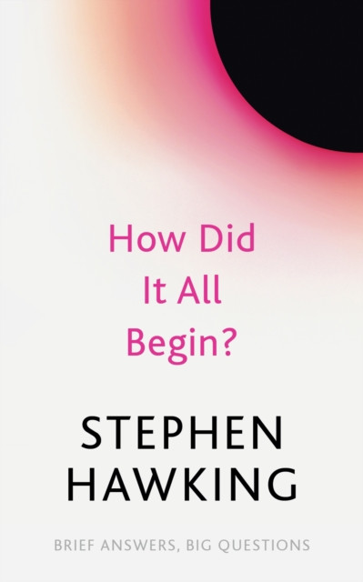 How Did It All Begin? by Stephen Hawking (Paperback Book)