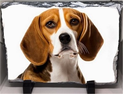 Beagle Hund Haustier Familie Felsenschiefer 29 cm x 20 cm Top Qualität Schiefer