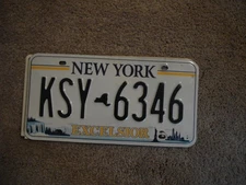 NEW YORK EXCELSIOR          *   LICENSE PLATE BUY ALL STATES HERE FREE SHIPPING