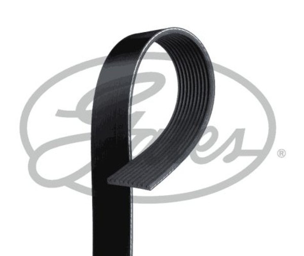 Gates Keilrippenriemen Rippenriemen Keilriemen Fleetrunner™ Micro-V® 10PK1445HD-image