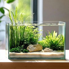 10 Gallon Ultra Clear Rimless Glass Fish Tank Easy to Maintain Small Aquarium