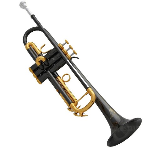 Shins Music Dumbloid 335 Special Black Relic Finish | eBay