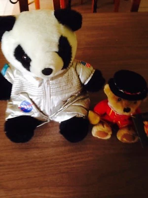 nasa teddy bear