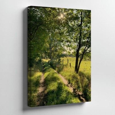 Sunlit Country Pathway Canvas Wall Art Print With Trees And Lush Green Grass