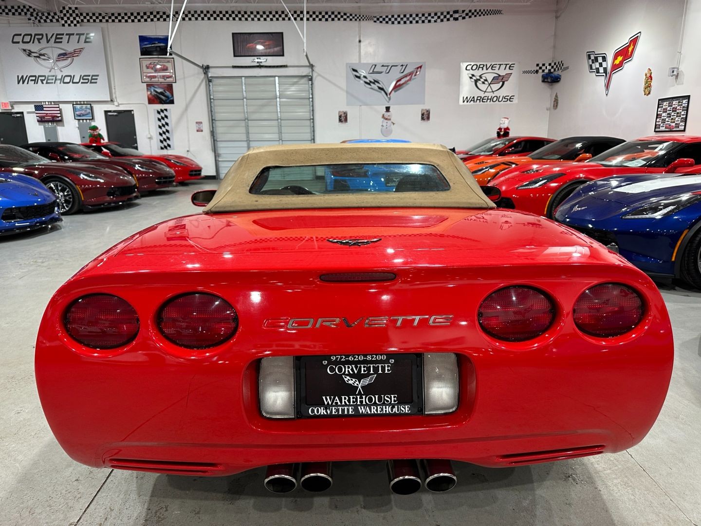 1999 [70U] Torch Red Chevrolet Corvette   | C5 Corvette Photo 8