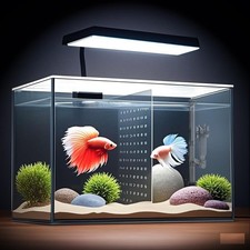 3 Gallon 12.6 L Fish Nano Glass Aquarium with Separator Plate Square Fish Tank