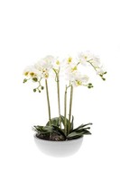 artplants Kunst Phalaenopsis Orchidee Mina Im Keramiktopf, Weiß, 60Cm
