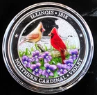Illinois US State Bird & Flag Colorized Vtg Rare Bullion-0.999 Silver 1 Oz Coin