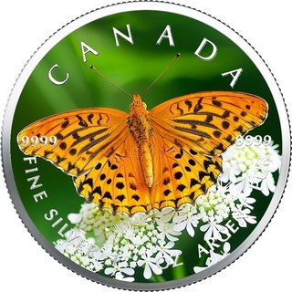 2025 Canada Farb Round Washed Fritilarry Butterfly 1OZ SILBER 9999 COLOR EDITION
