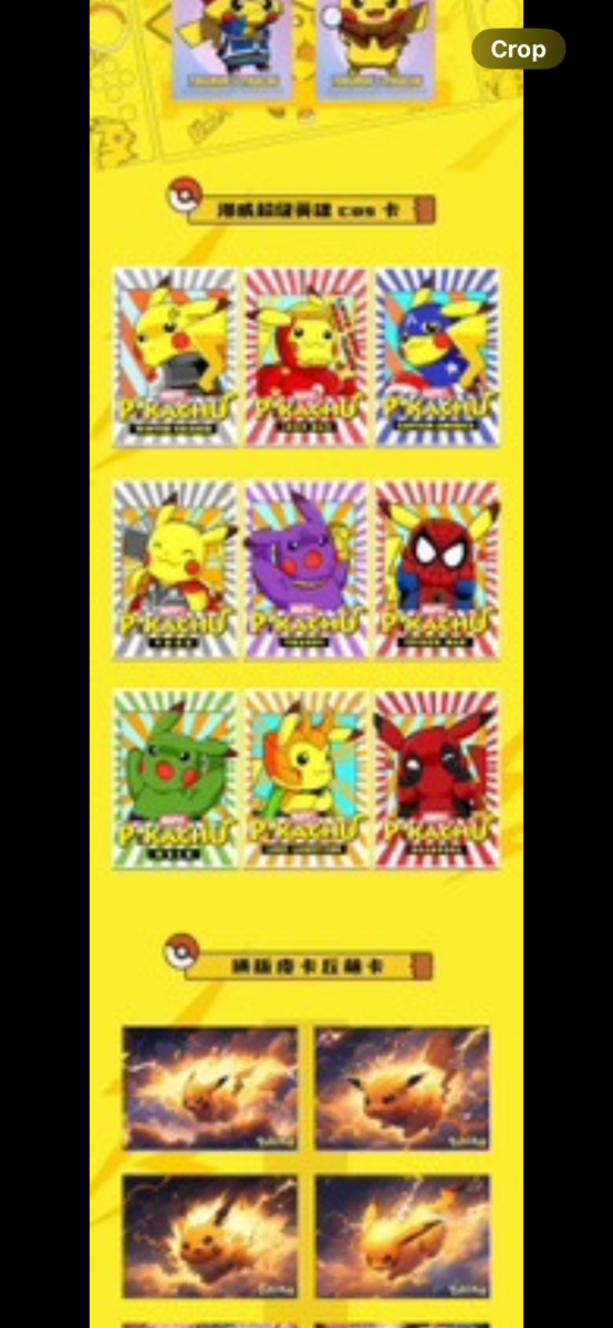 Custom Size A5 Pokémon Mystery Art Boards! Special Binder Chase