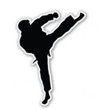 Karate Car Vinyl Sticker - SELECT SIZE