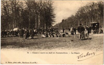 Lorris - Lorris (Loiret) - Chasse à courre du Rallye Franchort en Forêt