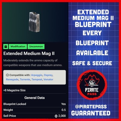   ARC RAIDERS -  EXTENDED MEDIUM MAG II BLUEPRINT - ALL PLATFORMS