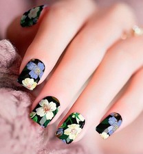 Candied Nails Floral Nail Polish Strips 16 Pack Non-Toxic Lasts 10 Days