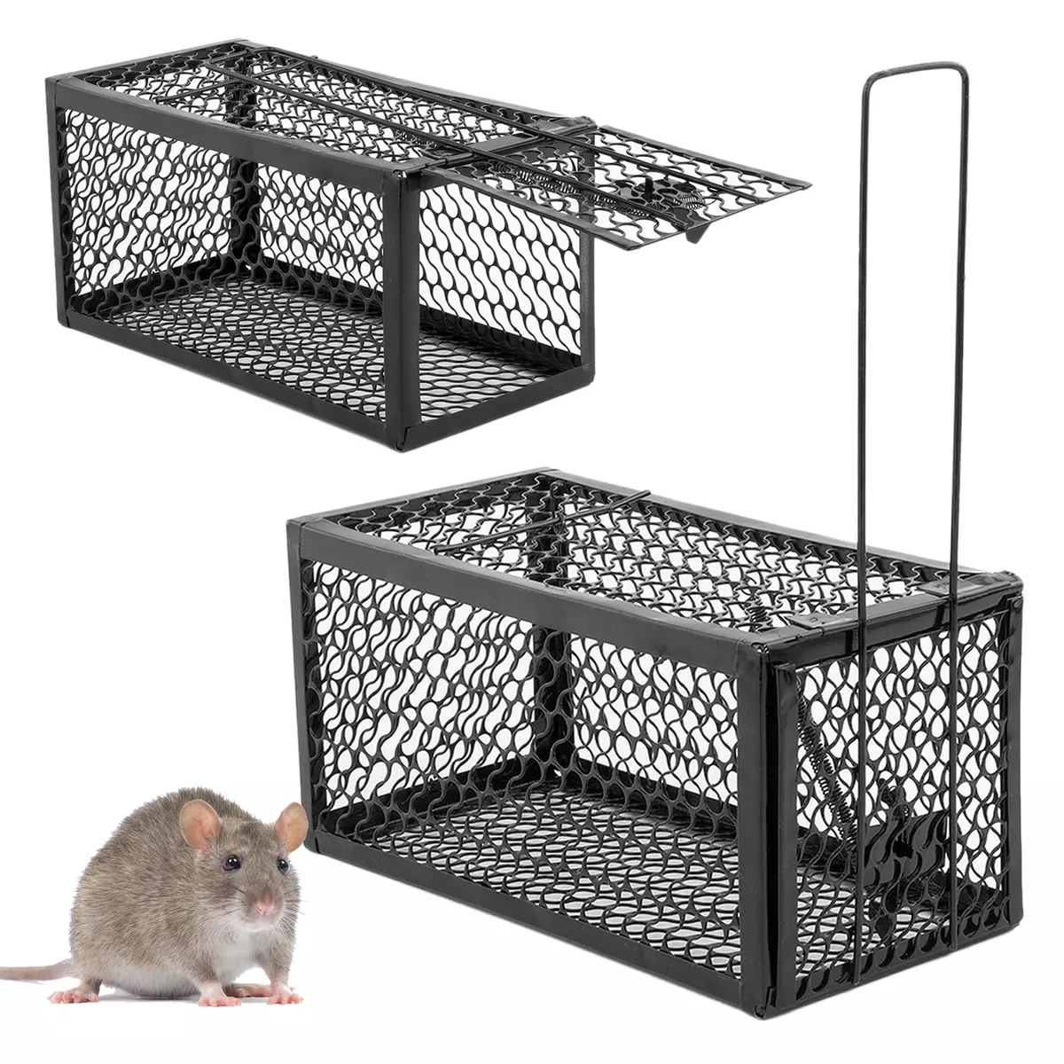 TWIN PACK KCT HUMANE RAT TRAP REUSABLE METAL BAIT VERMIN NO KILL CATCHER  RODENT