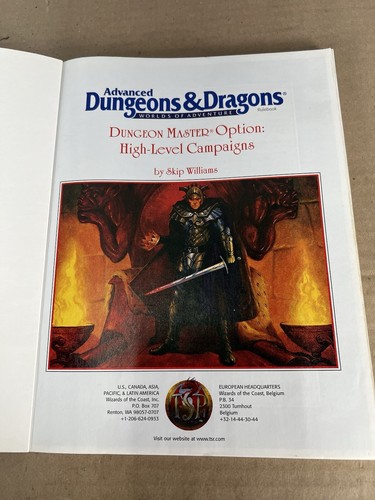 TSR AD&D DUNGEON MASTER OPTION: HIGH-LEVEL CAMPAIGNS - 2156 D&D RPG GYGAX - Picture 9 of 15