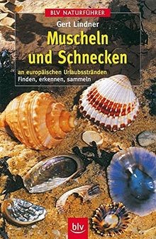 Muscheln und Schnecken (BLV Naturführer)  von Lindn... | Buch | Zustand sehr gut