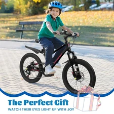 A20184 20-Inch Kids Mountain Bike for Boys & Girls Ages 6–12, 7-Speed