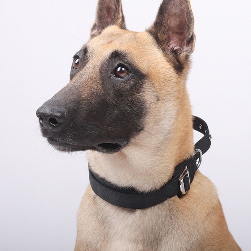 Metal Buckle Dog Neck Collar Breathable Dog Rivet Collar German Shepherd - Picture 6 of 16