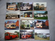 Collection Of 12 Vintage/Clasic Bus Photos - Nice Clear Colour Photos