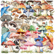 50PCS Retro Mushroom Stickers PET Transparent Stickers Nature Decals Waterproof