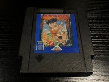 Secret Scout in the Temple of Demise Nintendo NES Cart Only Color Dreams