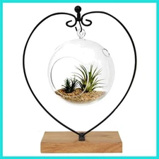 Ornament Display Stand Metal Stand Terrarium Air Plant Stand Flower Pot Holde...