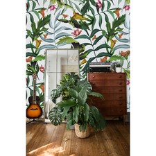 Tropical Leaves monstera big paradise holiday colorful trendy flora Wall Mural