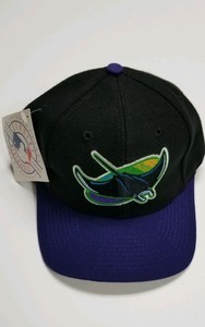 devil rays snapback