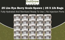 25-Pack Sterilized Rye Berry Grain Spawn – 1 lb Bags | No Injection Ports