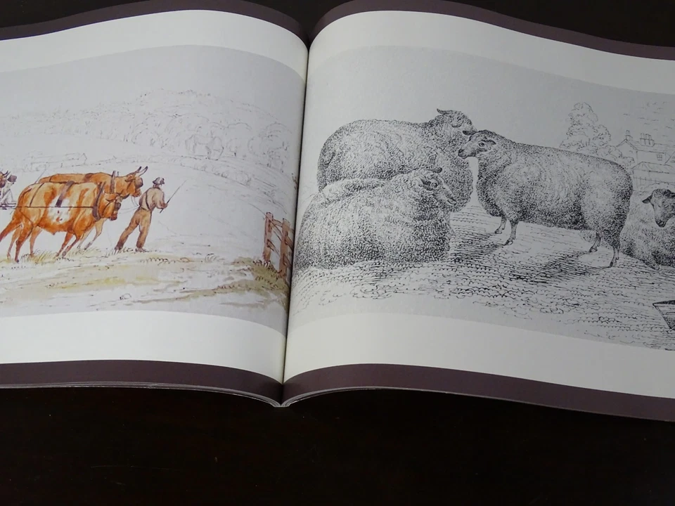 Emma's Sketchbook: Scenes of Nottinghamshire Life 1840 England, Signed Paperback - Image 2 of 4