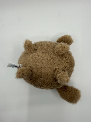 Jellycat Authentic Caboodle Puppy Small Fluffy Dog Soft Plush Collectable NWT - 第 5/7 張圖片