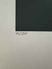 Shigeo Okumura  HOW TO TRAIN A LION  Orig. Serigraph 14/250 pencil signed by OKU — photo 2