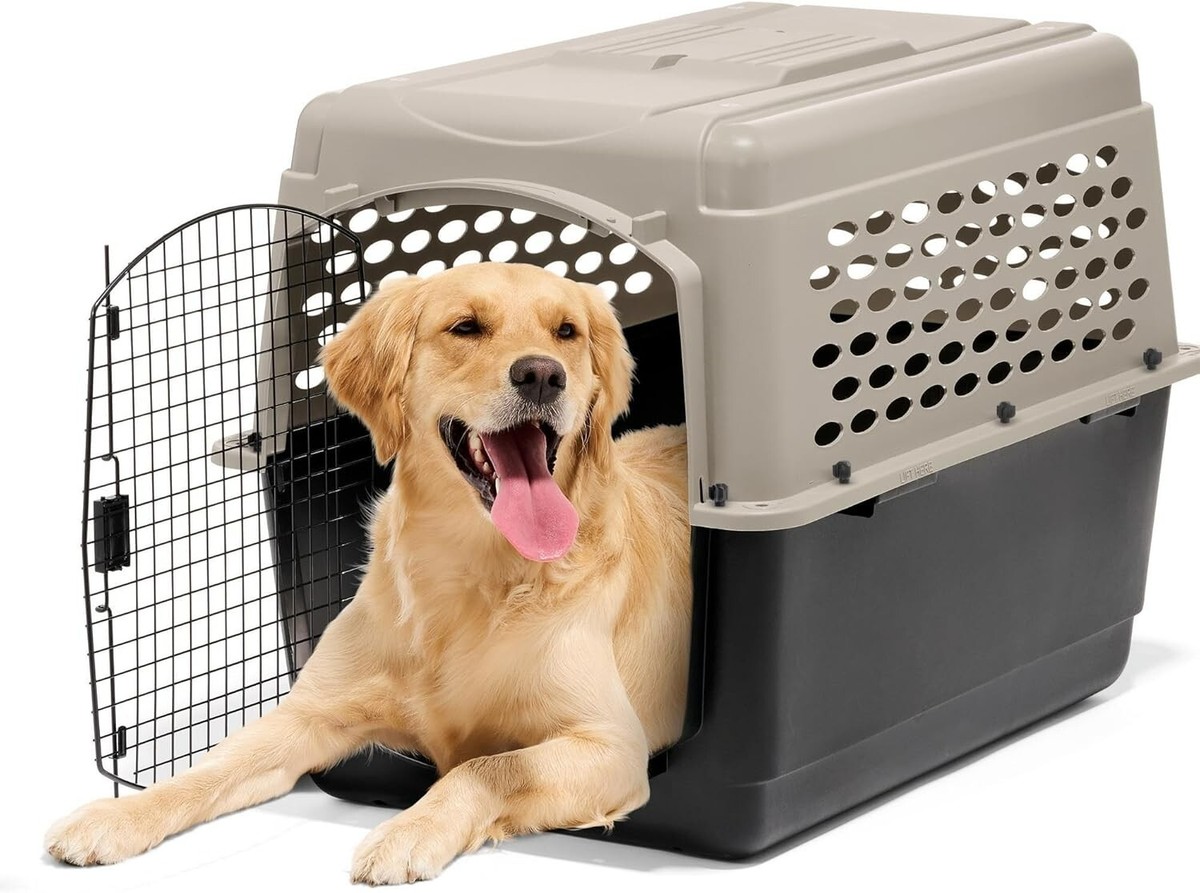 Petmate Vari 40 X 27 X 30 Dog Kennel Petmate Vari Pet Kennel Large