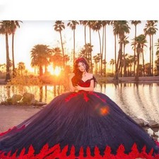 Black Princess Quinceanera Dresses Red Lace Appliqued Pageant Dresses Shiny  ﻿
