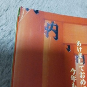 Dreamcast Magazine Vol 3 11 22 29 Japanese gaming magazine used WWB