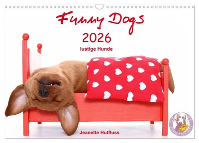 Funny Dogs (Wandkalender 2026 DIN A3 quer), CALVENDO Monatskalender Hutfluss