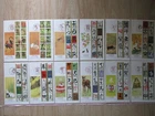 Japan Stamp First Day Cover Eto Calligraphy 10 Covers Large format 2004～2015