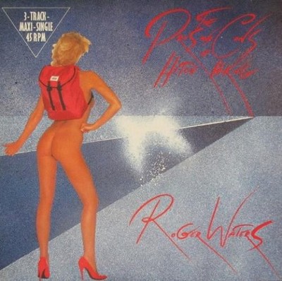 Roger Waters - The Pros And Cons Of Hitch Hiking (12'', Maxi)