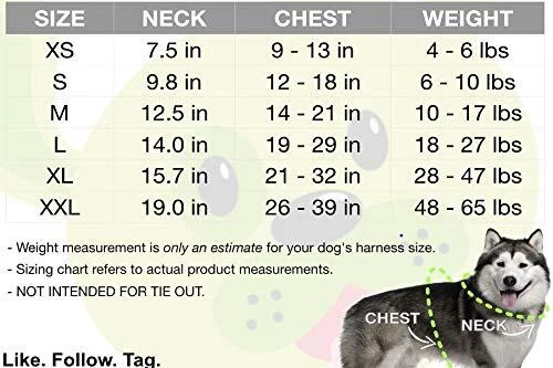 Dog Harness - Eco 3. Medium-10 to 17 lbs - Neck Up to 12.5 in Baby Pink