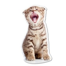 Kitty Meow Cute Car Vinyl Sticker - SELECT SIZE