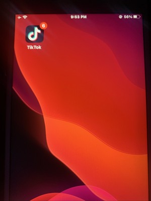 iPhone 7 Plus With TikTok 