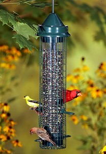 Best Hunting Standing Feeder Ebay