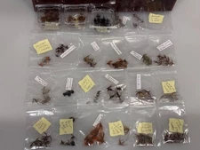 Fly Fishing Flies, Hackles & Nymph's **Many Varieties/Assorted Sizes** - (3rd)