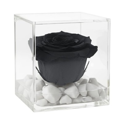 Cubo Rosa Stabilisierte rote Duftwürfel  Der Cubo mit einem echten und rosa P...