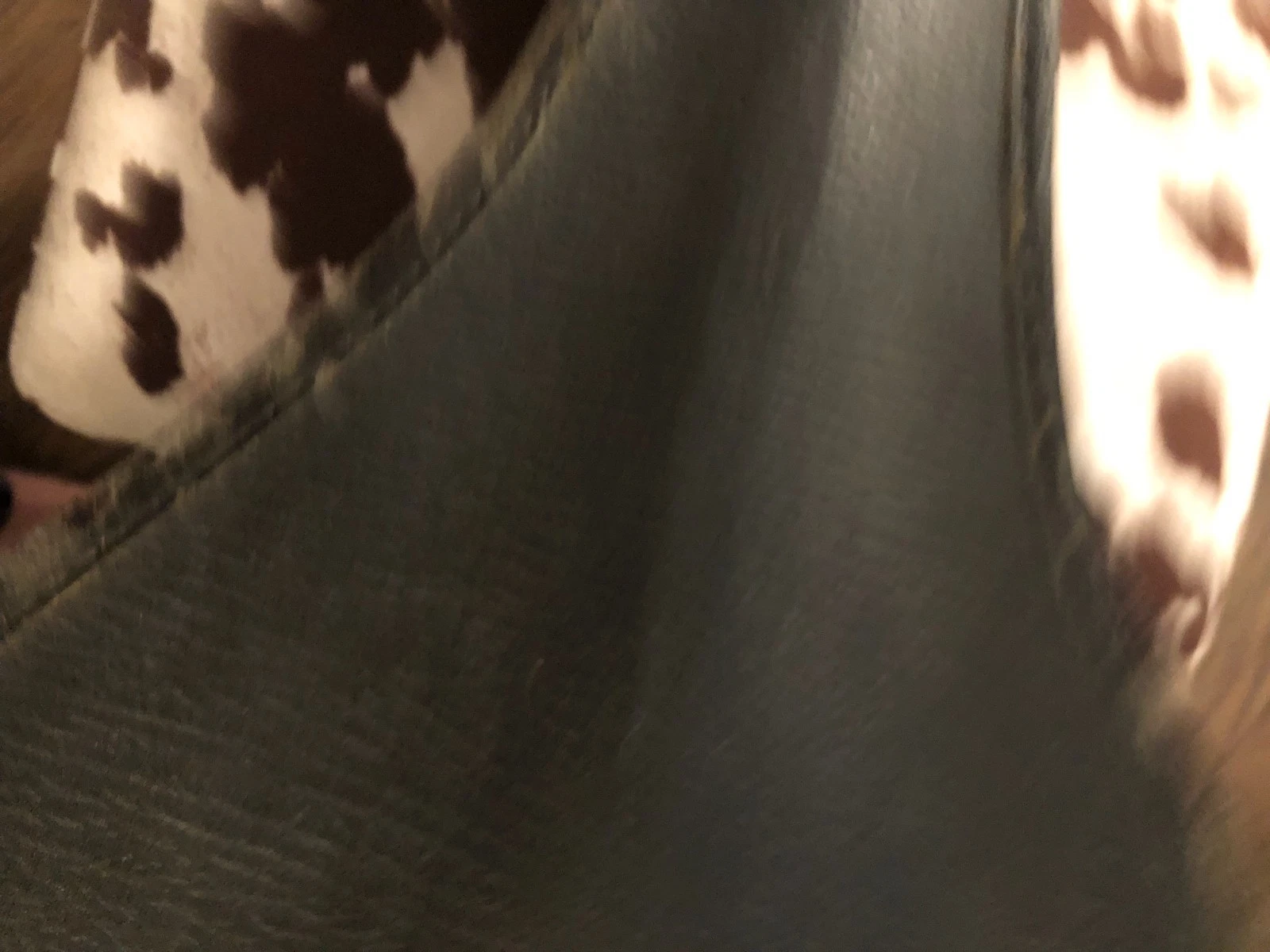Picture 4 of 4