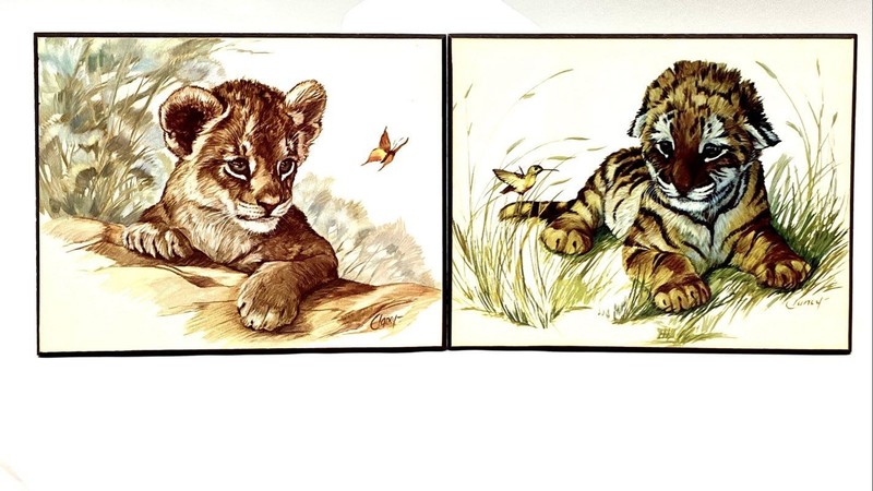 Clancy Vintage Wildlife Prints Pair Lion Tiger Cubs Signed 10x8 Wall Plaques