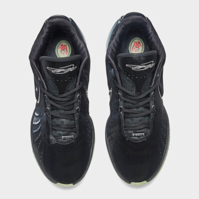 Nike LeBron XXI 21 Dunkman Tahitian Black Pewter Green FB2238-001