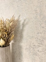 Newroom Vliestapete Beige Silber Glanz Modern Glamour Wohnzimmer Schlafzimmer